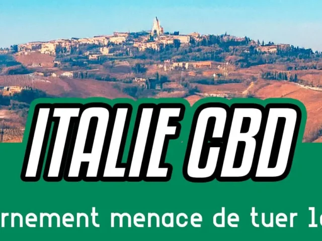 L’Italie veut tuer le CBD malgré un marché à 2 milliards d’euros