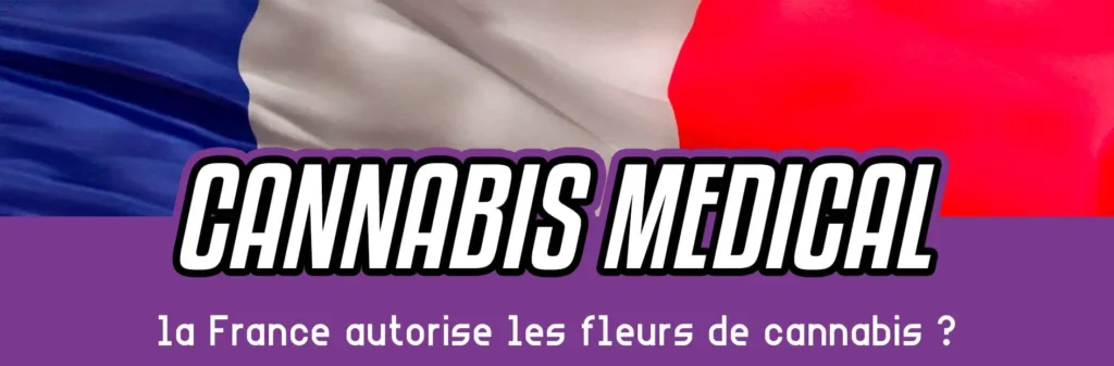 cannabis médical france