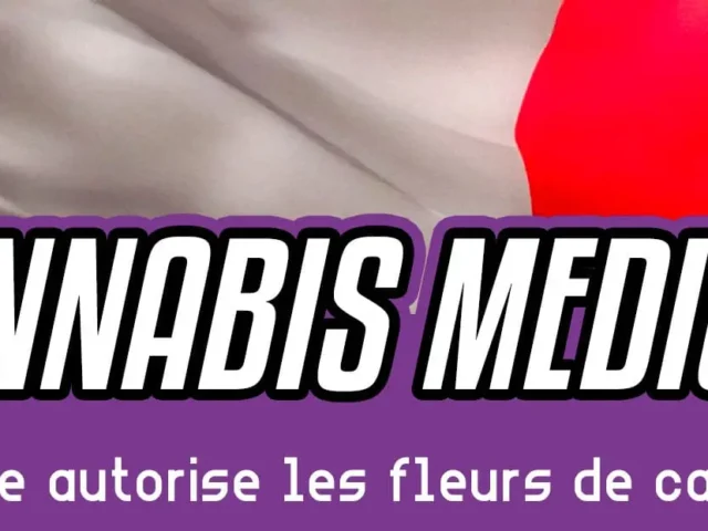 Cannabis médical : la France autorise les fleurs de cannabis ?