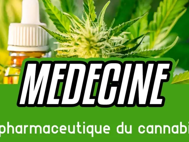 Le marché pharmaceutique du cannabis explose !