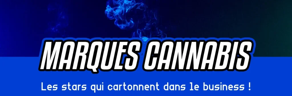 Les rappeurs et stars qui cartonnent dans le business du cannabis !