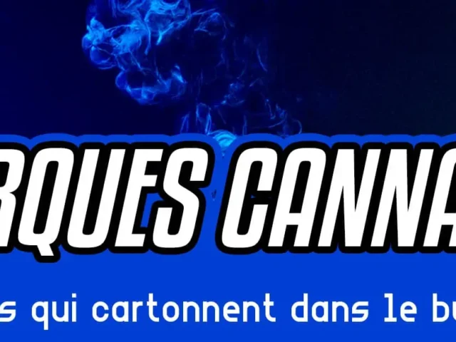 Les rappeurs et stars qui cartonnent dans le business du cannabis !