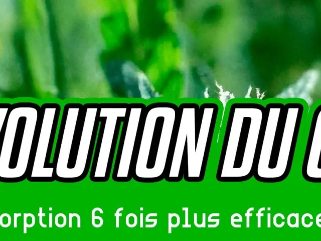 Une percée révolutionnaire pour le CBD : absorption 6 fois meilleure !