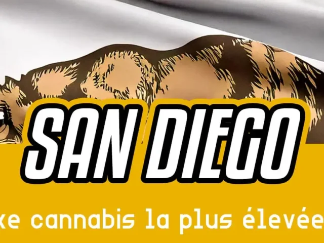 San Diego impose la taxe cannabis la plus élevée de Californie !