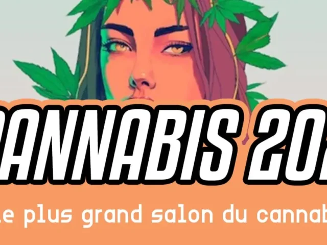 Spannabis 2025 : Tout savoir sur le plus grand salon du cannabis en Europe 🌿