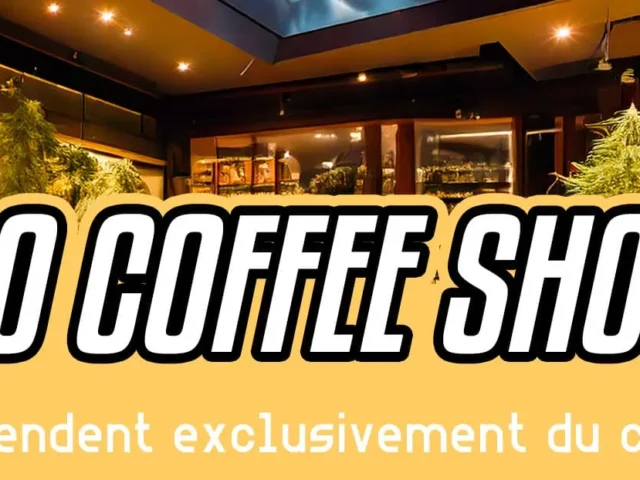 80 coffee-shops néerlandais commencent à vendre exclusivement du cannabis légal