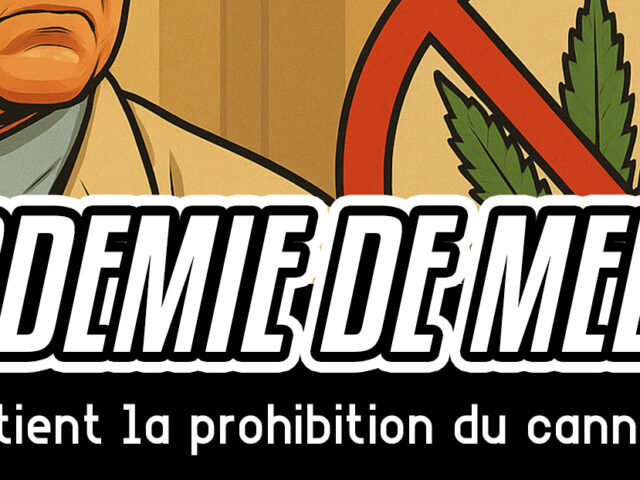 L’Académie de Médecine soutient la prohibition du cannabis