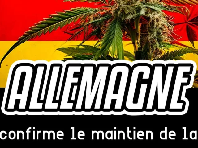 La coalition allemande confirme maintien légalisation cannabis