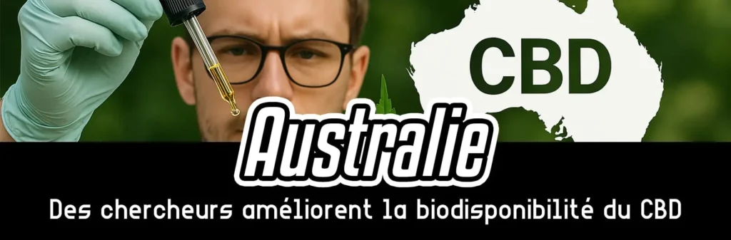 Australie : des chercheurs améliorent la biodisponibilité du CBD