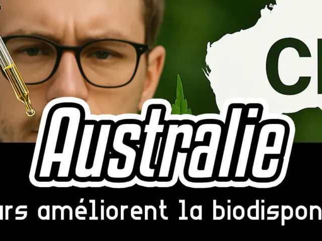 Australie : des chercheurs améliorent la biodisponibilité du CBD