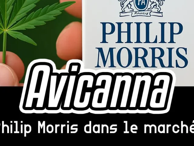 Avicanna : L&rsquo;entrée de Philip Morris dans le marché du cannabis