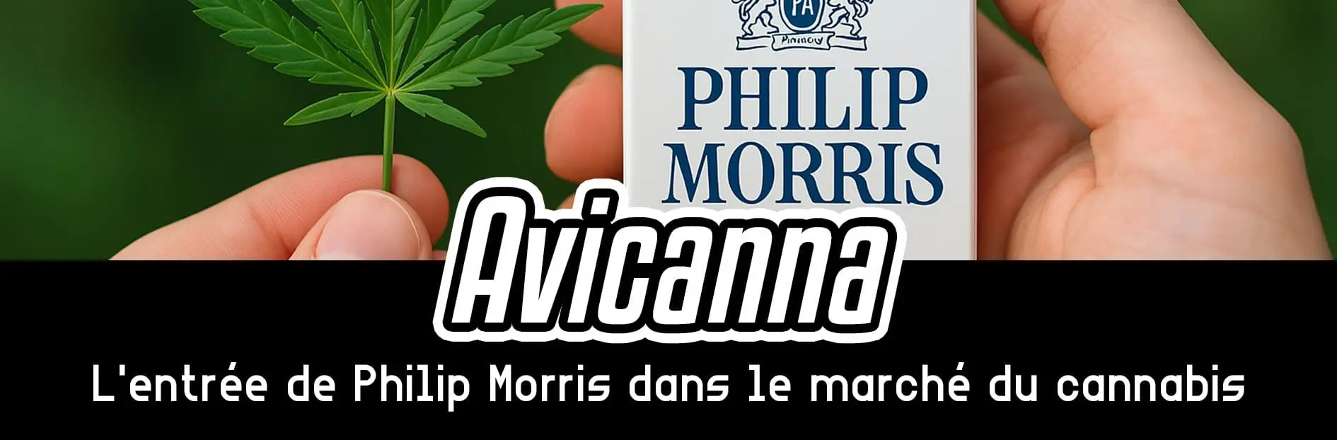 Philip Morris se lance dans le march du cannabis