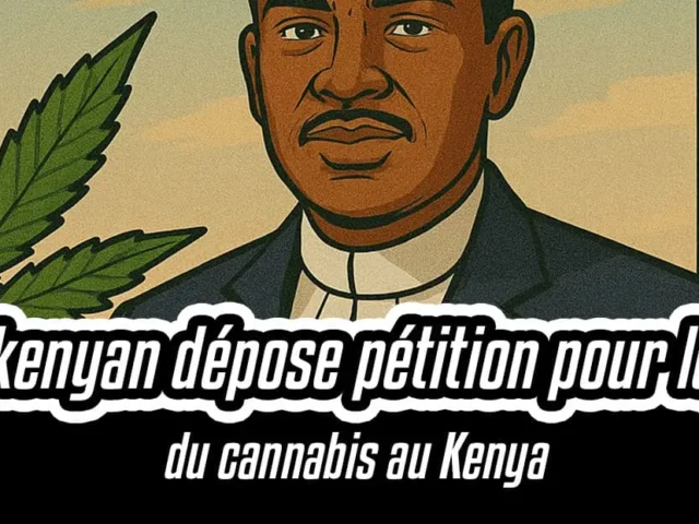 Avocat kenyan dépose pétition pour légalisation du cannabis au Kenya