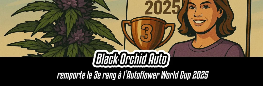 Black-Orchid-Auto-remporte-le-3e-rang-à-l’Autoflower-World-Cup-2025-_1_