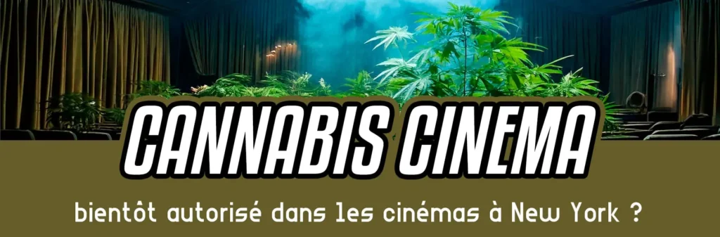 Fumer du cannabis bientôt autorisé dans les cinémas à New York ?