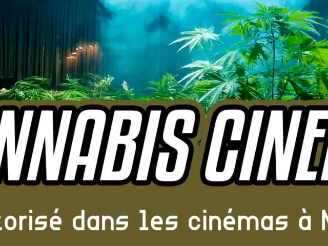 Fumer du cannabis bientôt autorisé dans les cinémas à New York ?