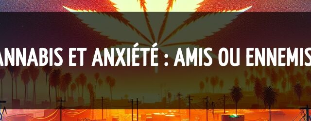 Cannabis et anxiété : amis ou ennemis ?