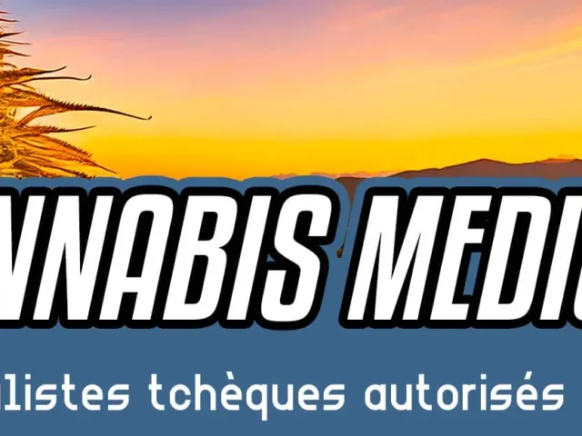 Cannabis médical : les généralistes tchèques autorisés à prescrire