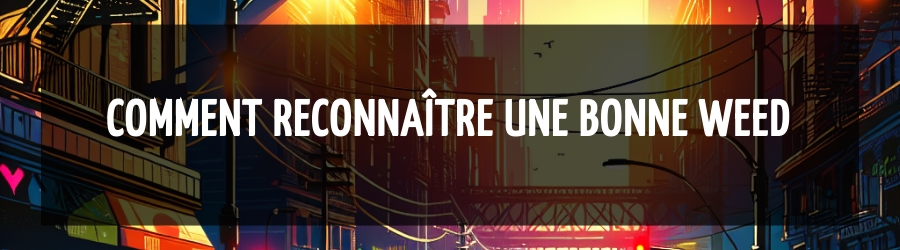 Comment reconnaître une bonne weed