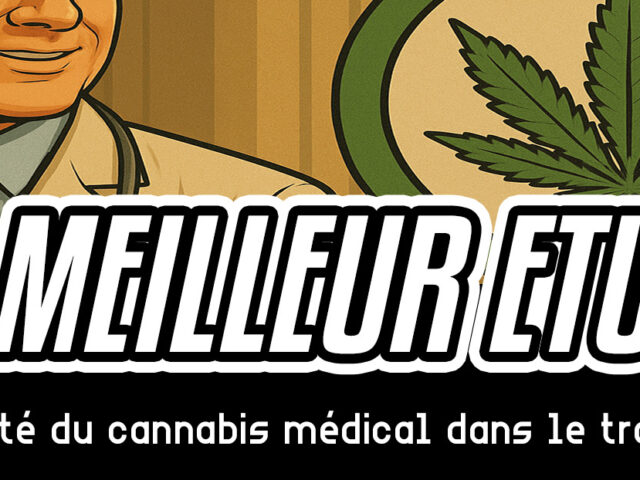 La meilleure étude confirme l’efficacité du cannabis médical dans le traitement du cancer