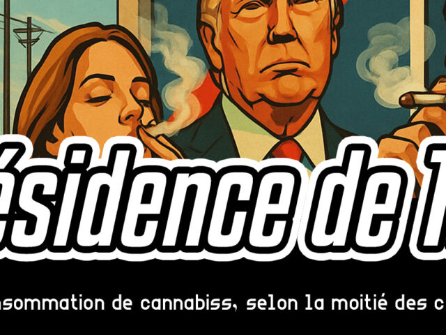 La présidence de Trump pourrait augmenter la consommation de cannabis, selon la moitié des consommateurs américains