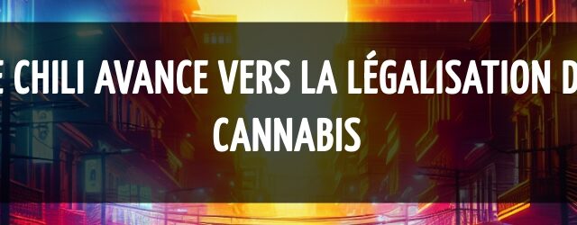 Le Chili avance vers la légalisation du cannabis