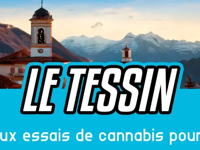 Le Tessin dit non aux essais de cannabis pour adultes !