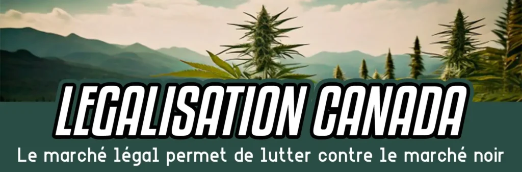 Legalitation canada