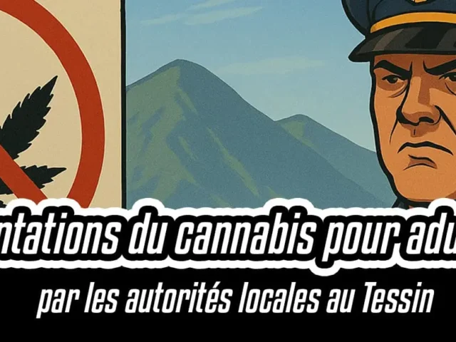 Les expérimentations du cannabis pour adultes bloquées par les autorités locales au Tessin