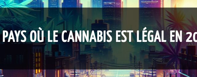 Les pays où le cannabis est légal en 2025