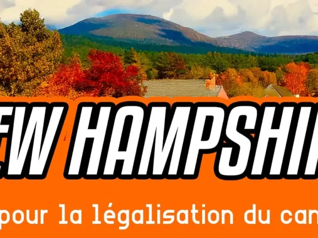 Le New Hampshire vote pour la légalisation du cannabis