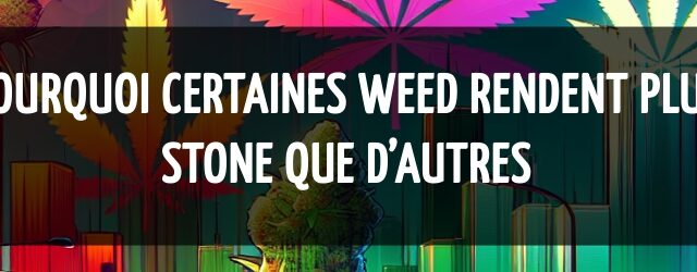 Pourquoi certaines weed rendent plus stone que d’autres