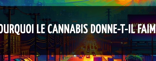 Pourquoi le cannabis donne-t-il faim ?