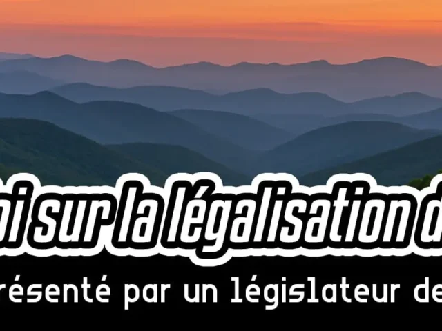 Projet de loi sur la légalisation du cannabis à usage adulte présenté par un législateur de Caroline du Nord
