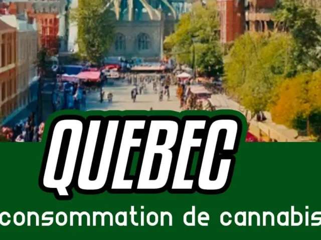 La diminution de la consommation de cannabis au Québec, surtout chez les jeunes – Analyse récente