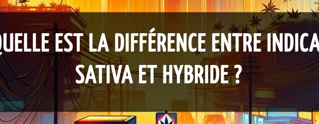 Quelle est la différence entre Indica, Sativa et Hybride ?