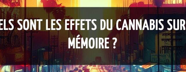 Quels sont les effets du cannabis sur la mémoire ?