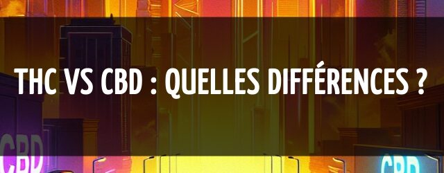 THC vs CBD : quelles différences ?