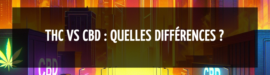 THC vs CBD : quelles différences ?