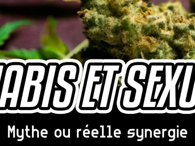 Cannabis et sexualité : mythe ou réelle synergie ?
