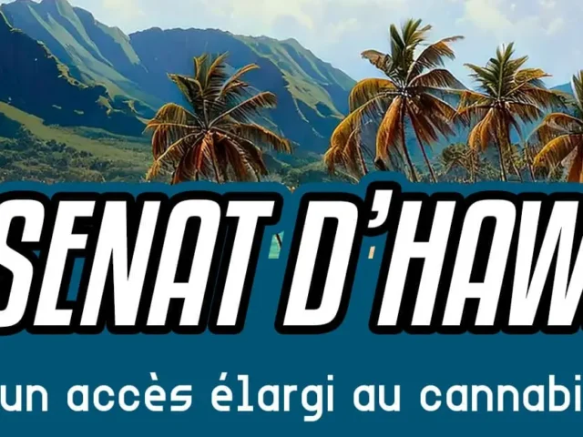 Le Sénat d’Hawaï approuve un accès élargi au cannabis médical