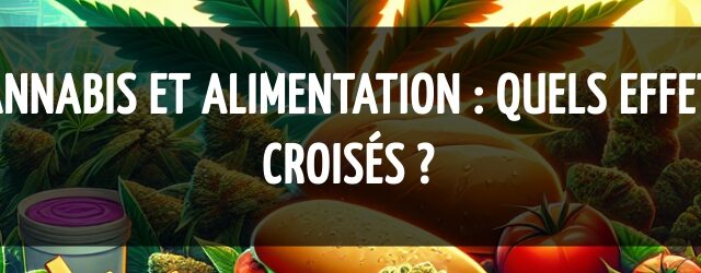 Cannabis et alimentation : quels effets croisés ?