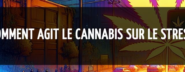 Comment agit le cannabis sur le stress