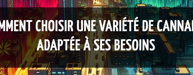 Comment choisir une variété de cannabis adaptée à ses besoins