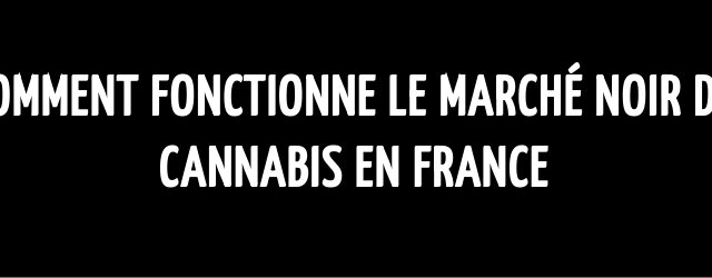 Comment fonctionne le marché noir du cannabis en France