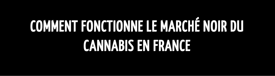 Comment fonctionne le marché noir du cannabis en France