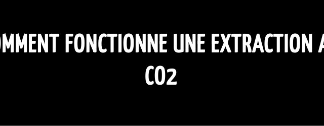 Comment fonctionne une extraction au CO2