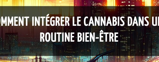Comment intégrer le cannabis dans une routine bien-être