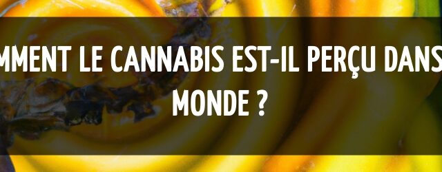Comment le cannabis est-il perçu dans le monde ?