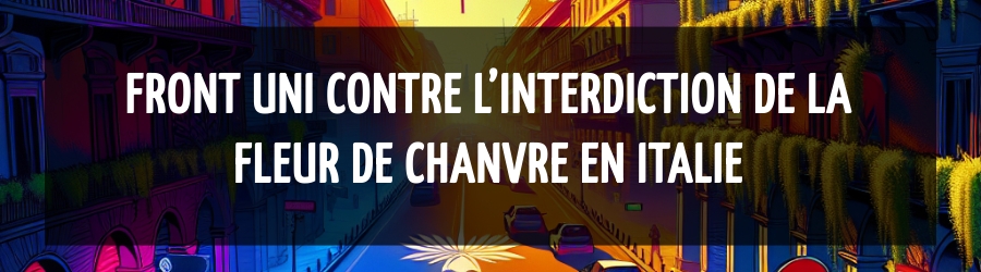 Front uni contre l’interdiction de la fleur de chanvre en Italie